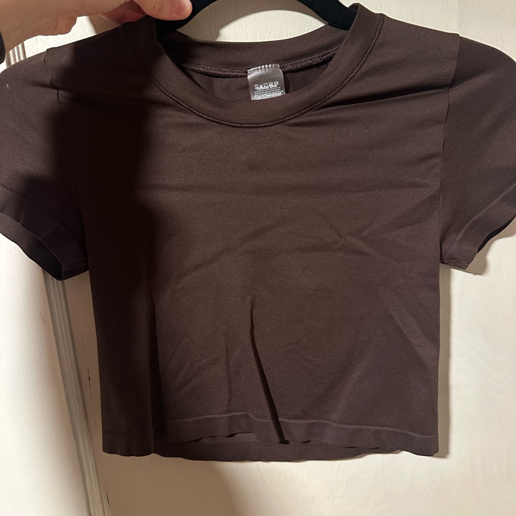 Aritzia Sunday Best Seamless Short Sleeve Crop Top - Brown